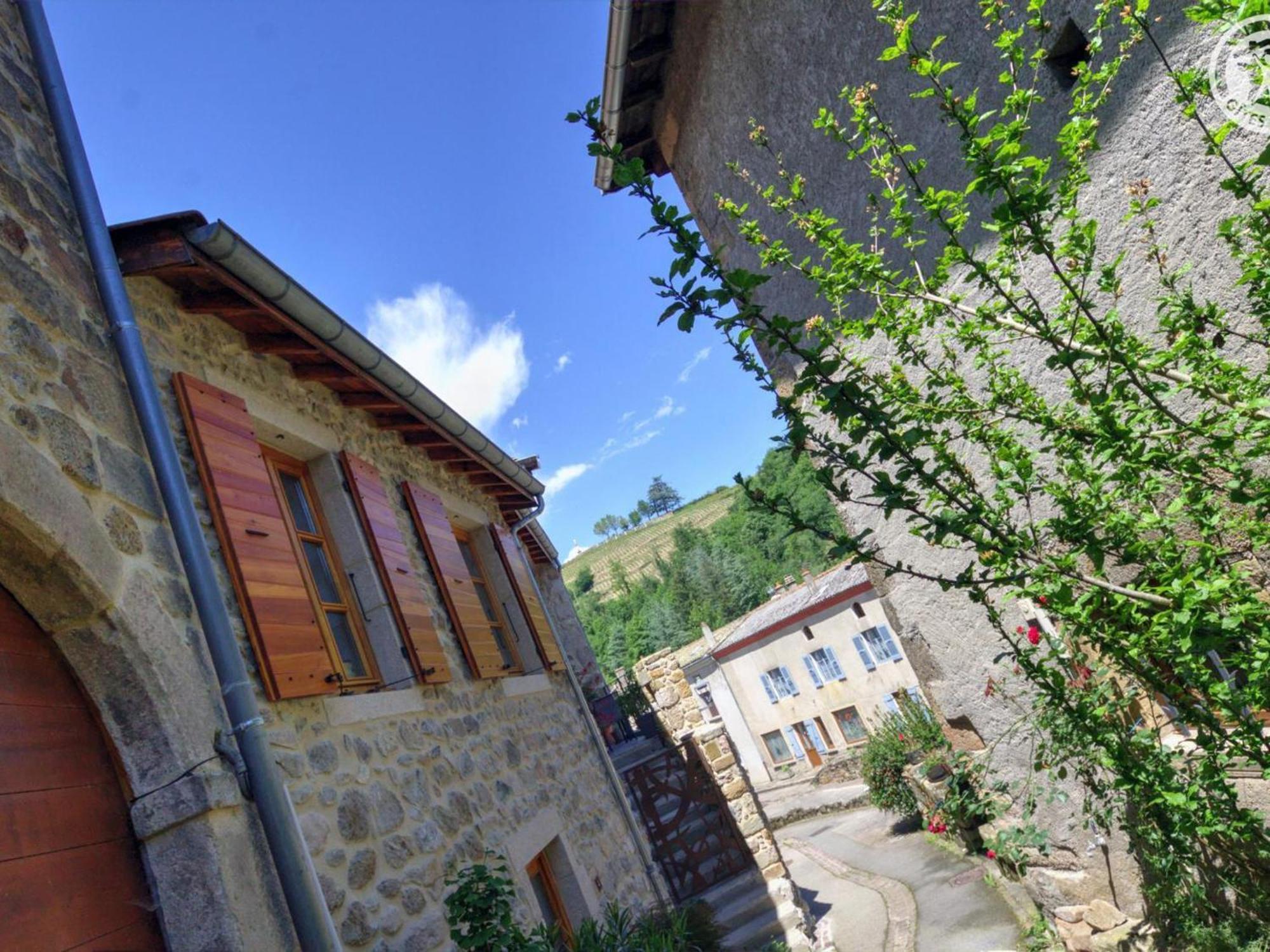 Gite De Charme Avec 2 Terrasses, Au Coeur Du Parc Du Pilat, Confortable Et Equipe - Fr-1-496-40 Malleval Exterior foto