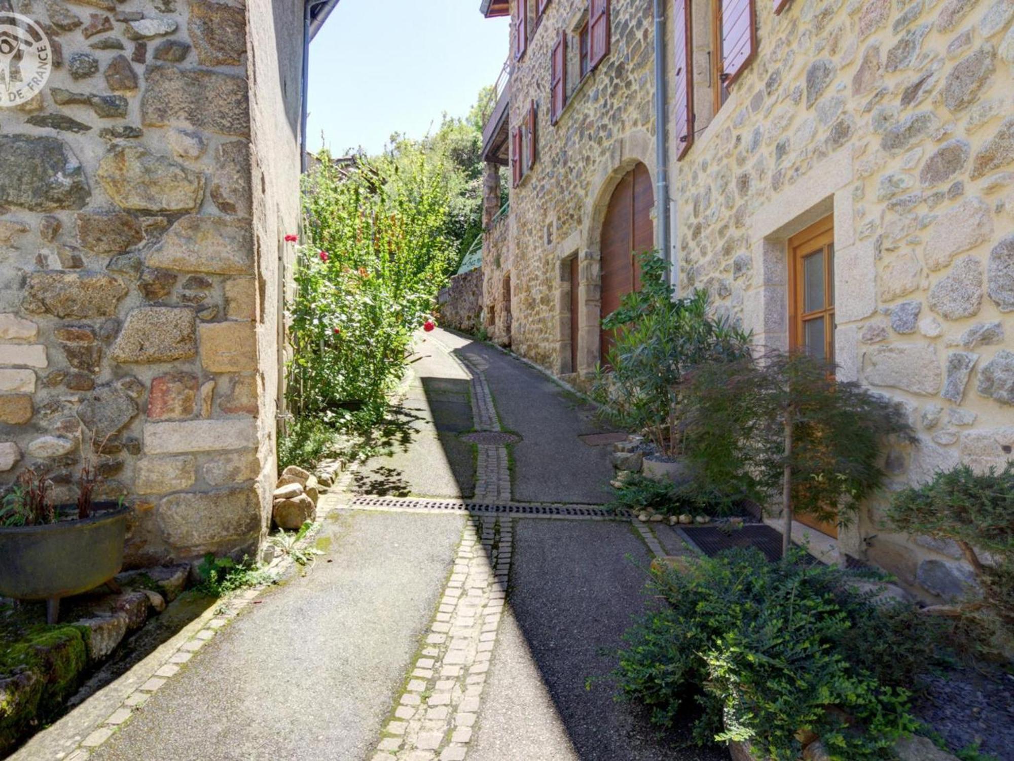 Gite De Charme Avec 2 Terrasses, Au Coeur Du Parc Du Pilat, Confortable Et Equipe - Fr-1-496-40 Malleval Exterior foto